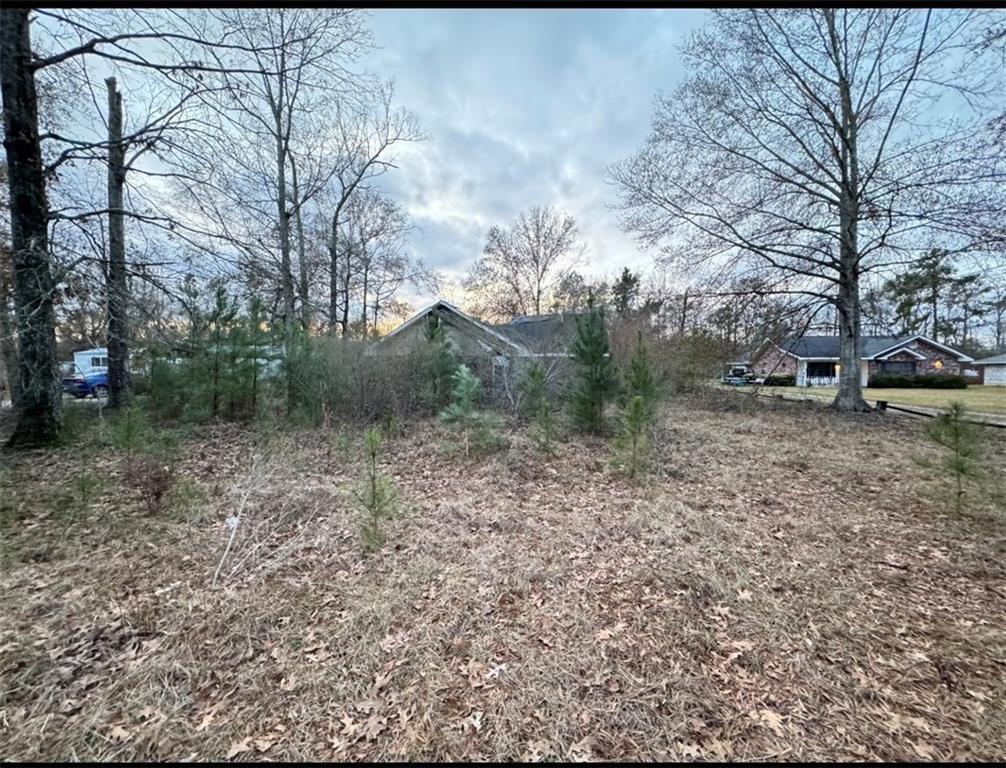 43169 Hinson Road Hammond, LA 70403 - Photo 1 of 8