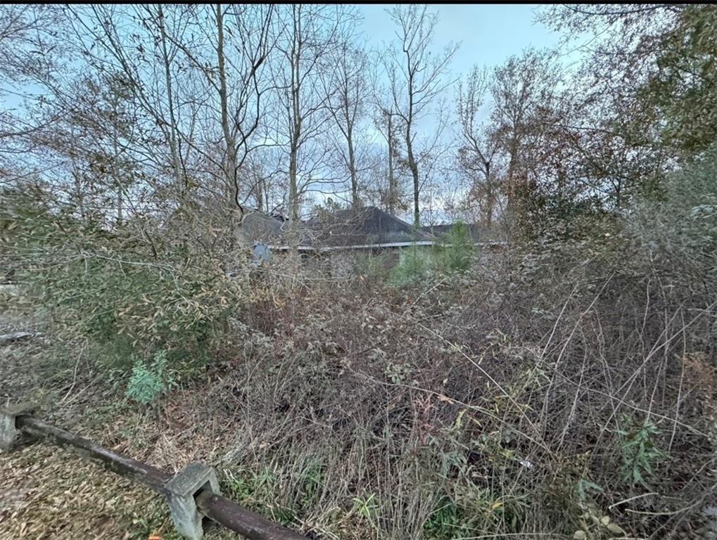 43169 Hinson Road Hammond, LA 70403 - Photo 5 of 8