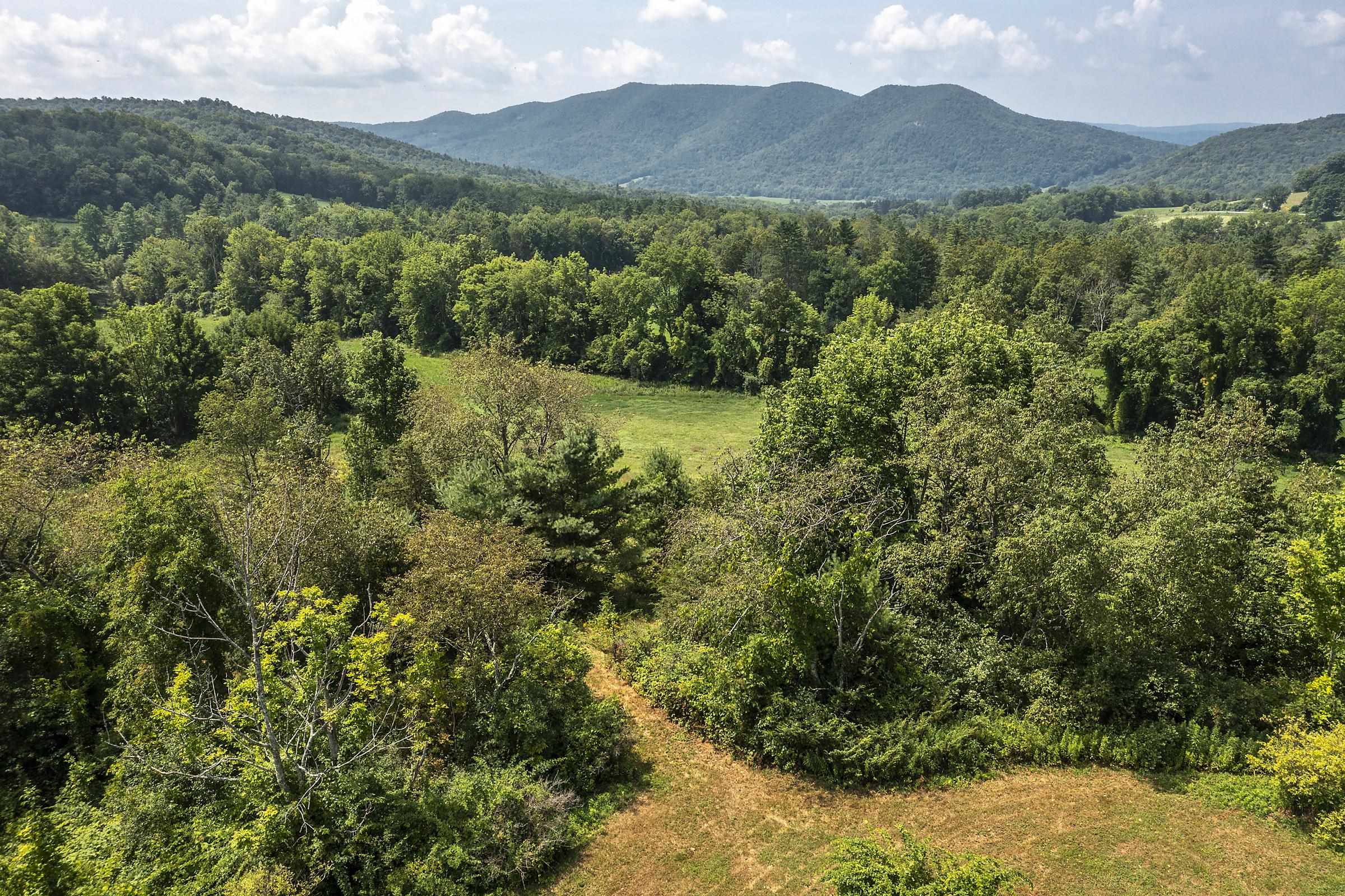 1688 Waite Hill Road Pawlet, VT 05761 - Photo 8 of 60