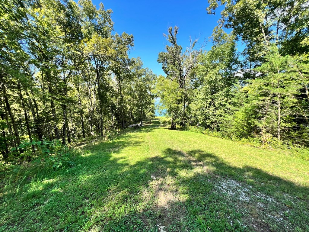 232425 Scott Street Sevierville, TN 37876 - Photo 13 of 34