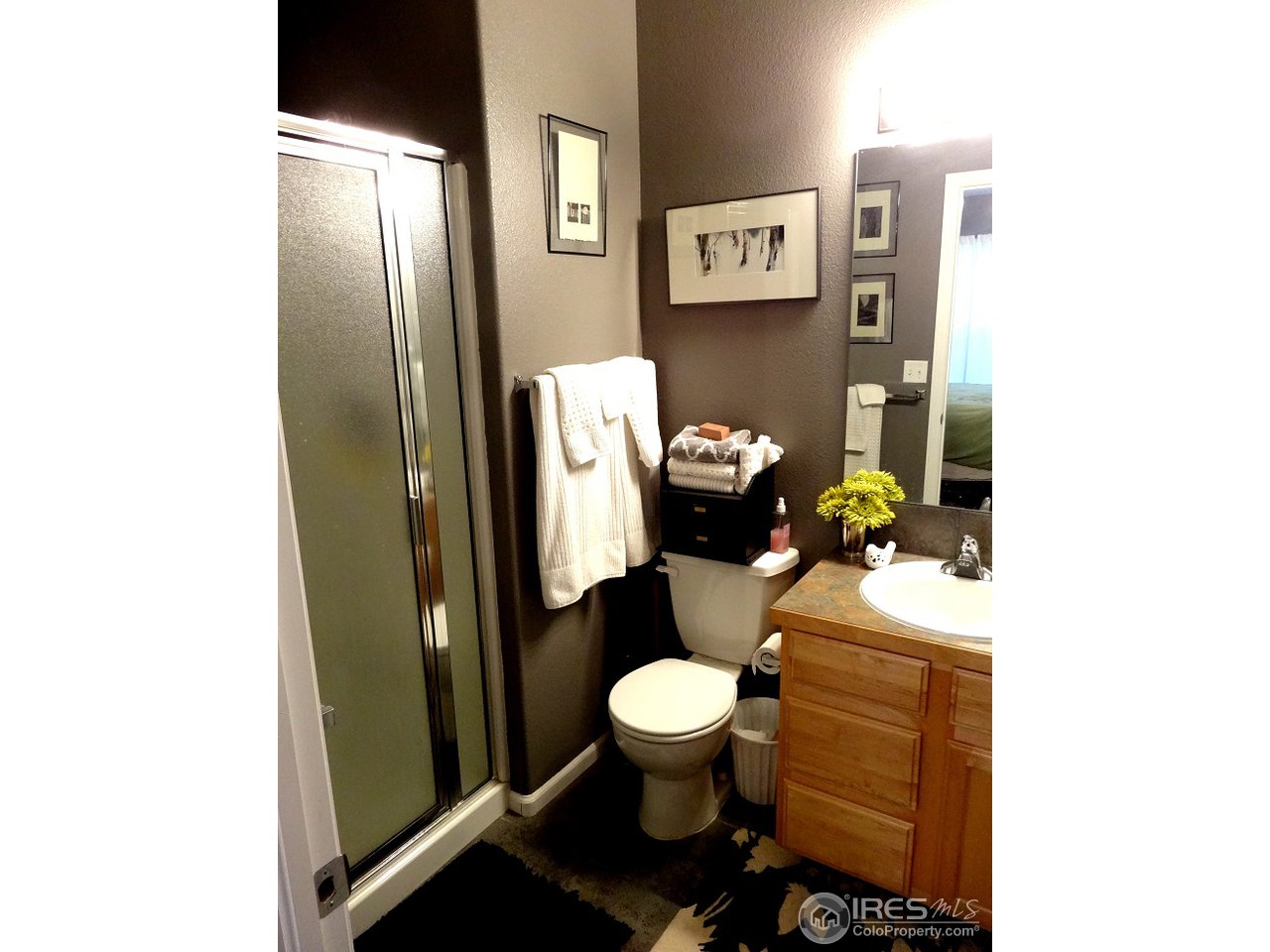 1221 East Prospect Road, Unit 6 Fort Collins, CO 80525 - Photo 13 of 14 Gallery Image 13