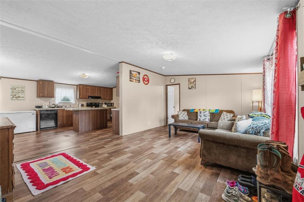 1185 Shirley Road Southeast Fairmount, GA 30139 - Photo 6 of 50 a living room with furniture and a rug