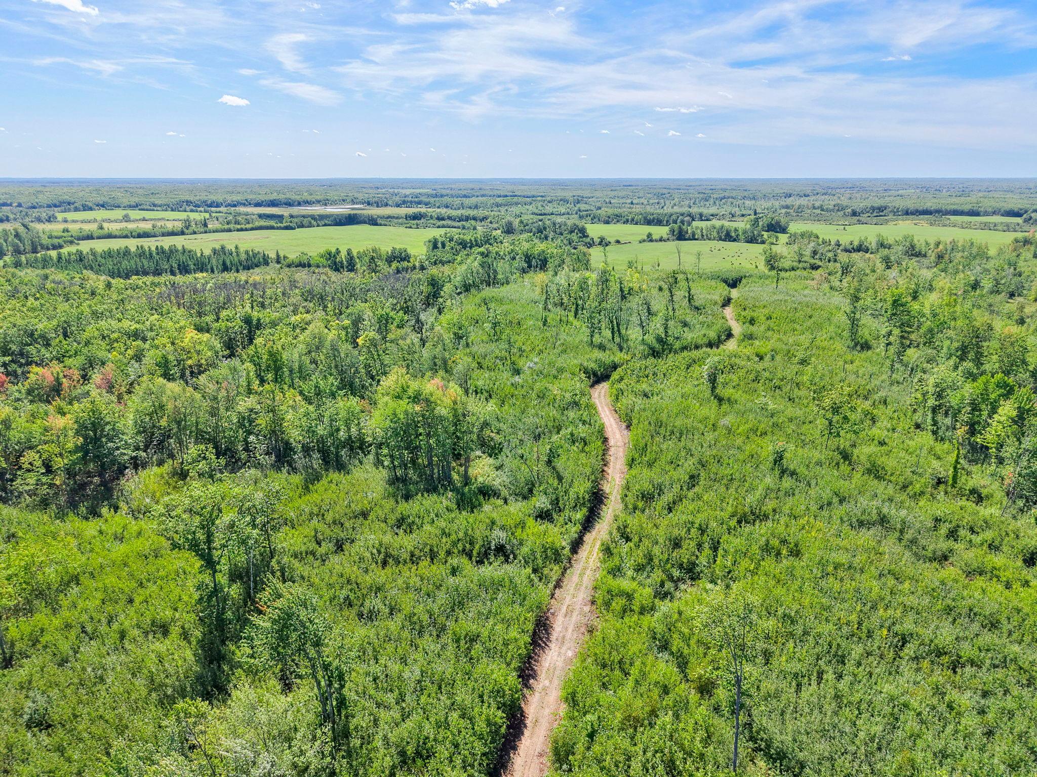 Xxx Fleming Logging Road Hinckley, MN 55037 - Photo 28 of 87 Gallery Image 28