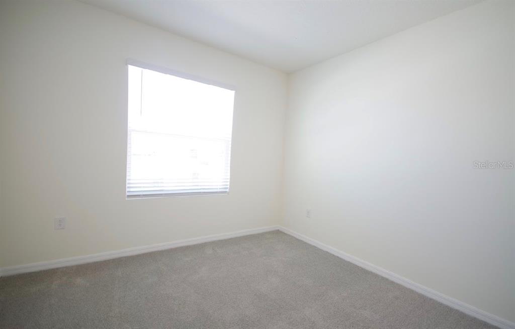 32312 Turtle Grace Loop Wesley Chapel, FL 33545 - Photo 12 of 23