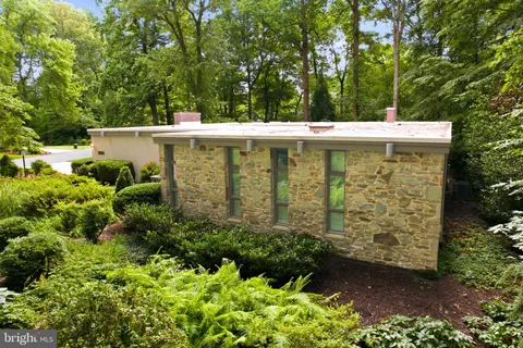 a view of a flower arrangement in a garden