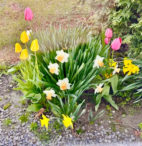 $475,000 | 1045 Broadway, Bangor, ME 04401