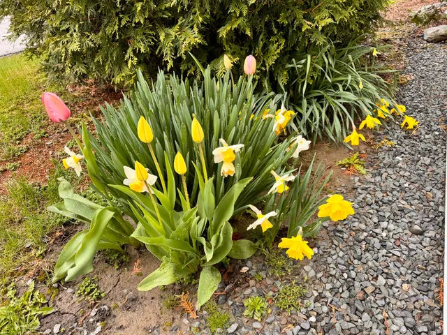 $475,000 | 1045 Broadway, Bangor, ME 04401