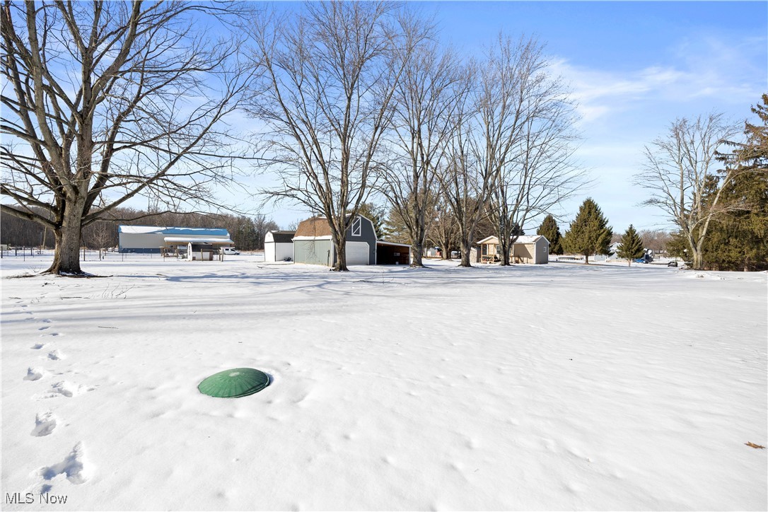 8010 Baumhart Road Amherst, OH 44001 - Photo 40 of 50 Yard