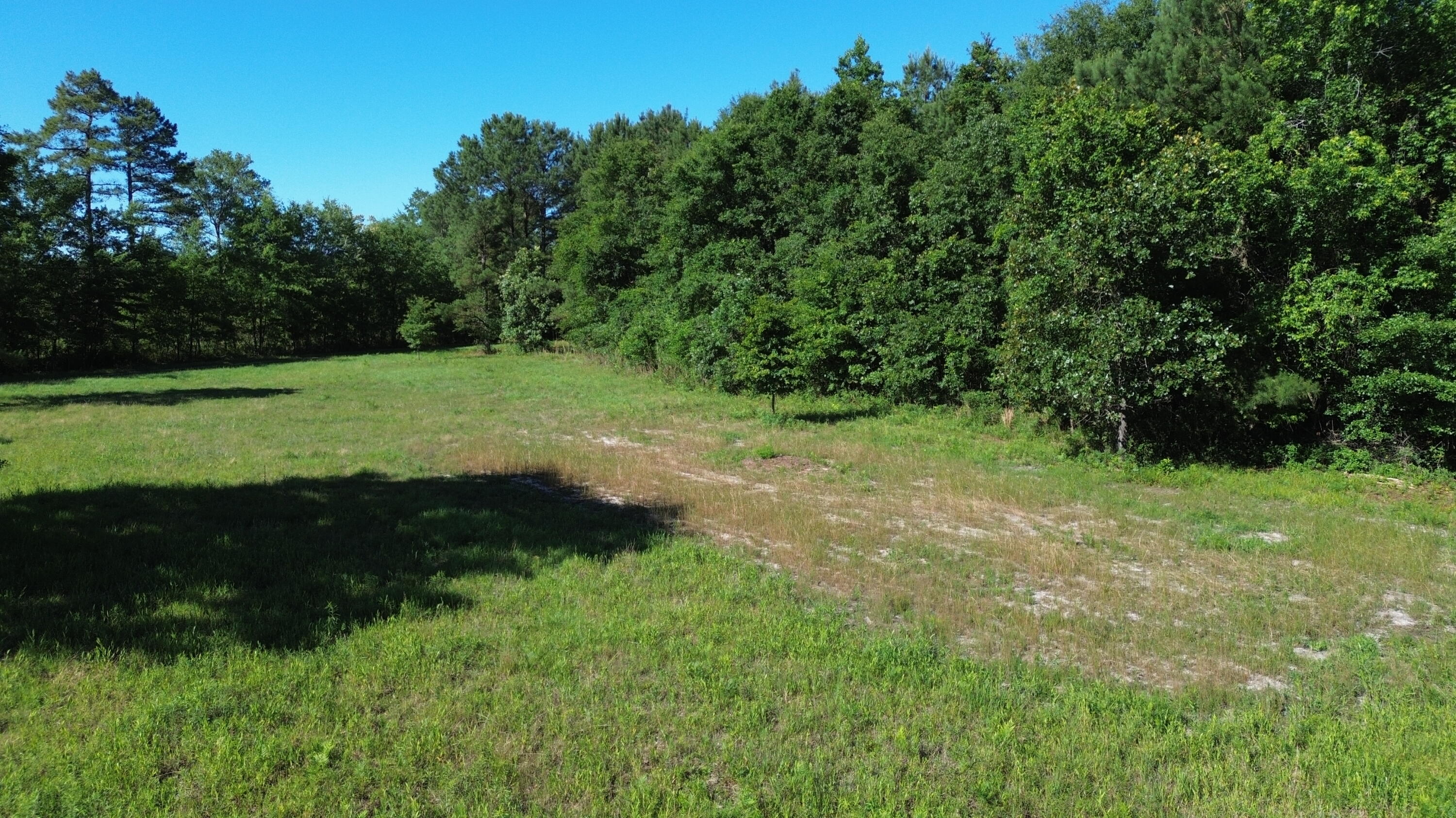 0 Holladay Road Manning, SC 29102 - Photo 11 of 35