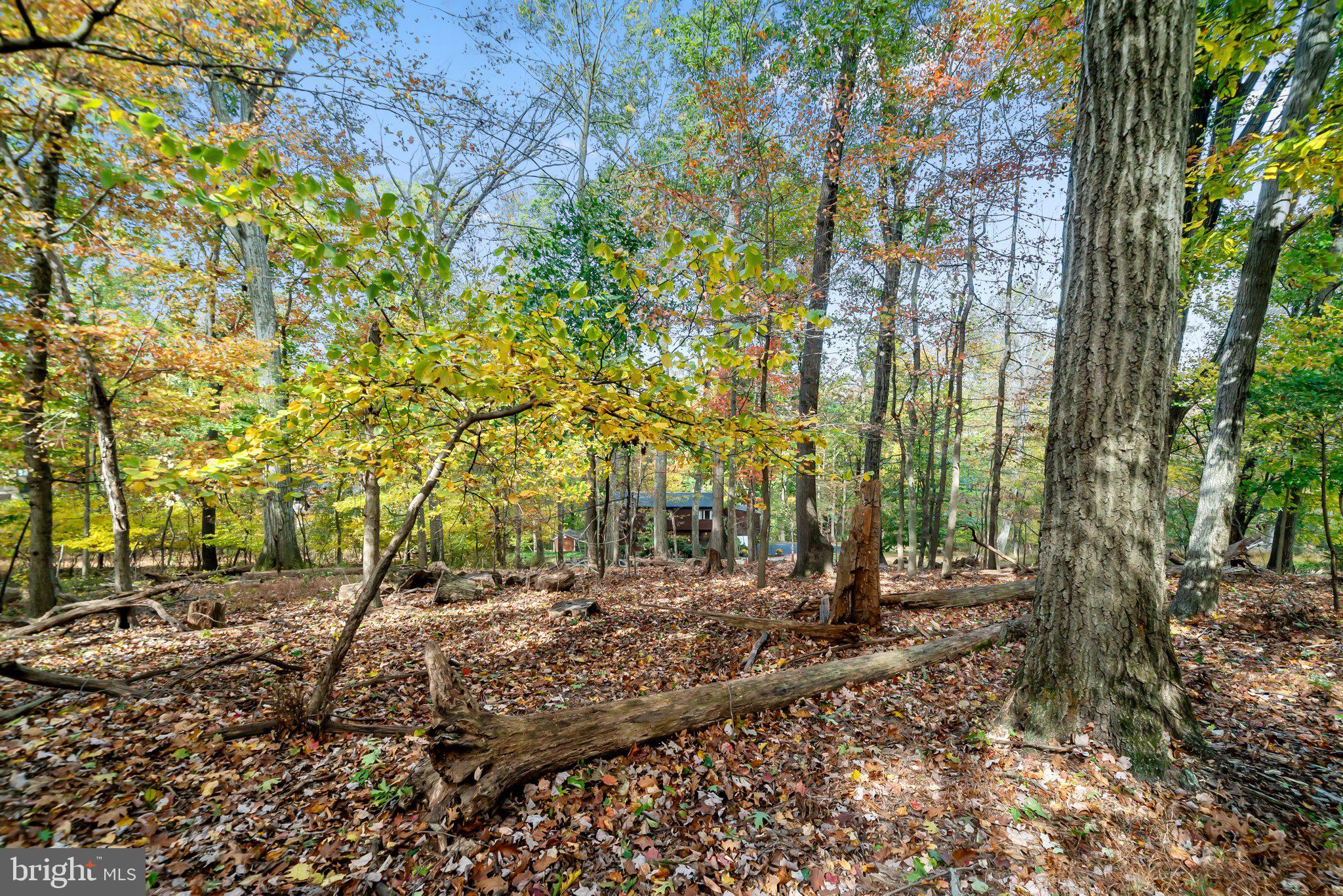 550 Sunset Hollow Road West Chester, PA 19380 - Photo 42 of 60
