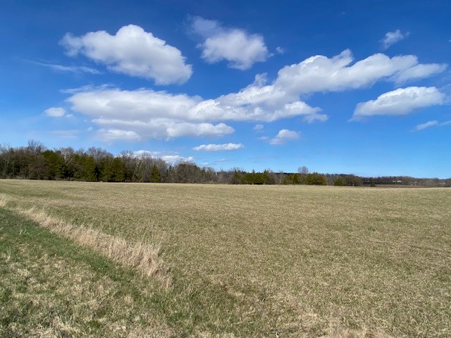 Tbd Mathey Road Sturgeon Bay, WI 54235 - Photo 3 of 4 Gallery Image 3