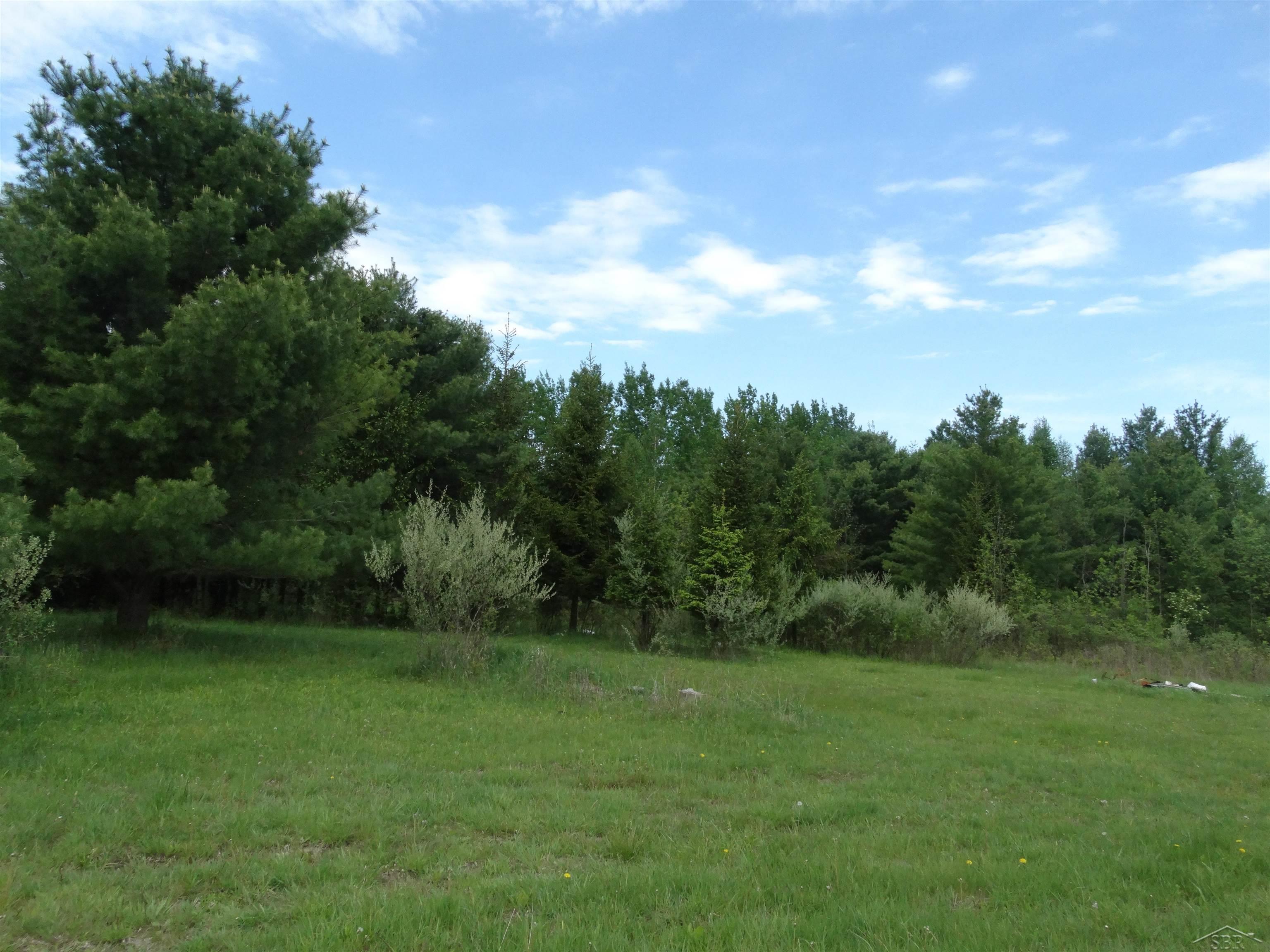 350 South Fire Road Twining, MI 48766 - Photo 5 of 20