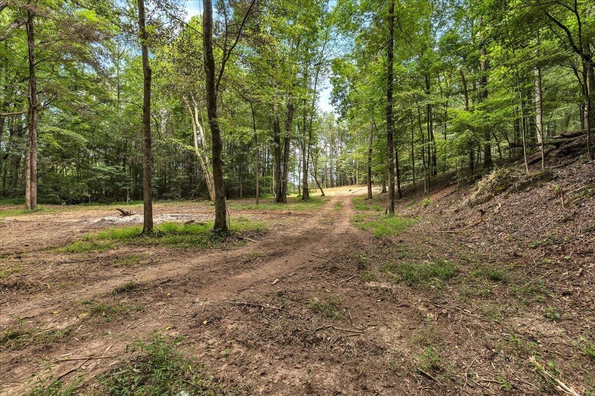 76 Meers Road Northwest Dalton, GA 30721 - Photo 11 of 49 Gallery Image 11