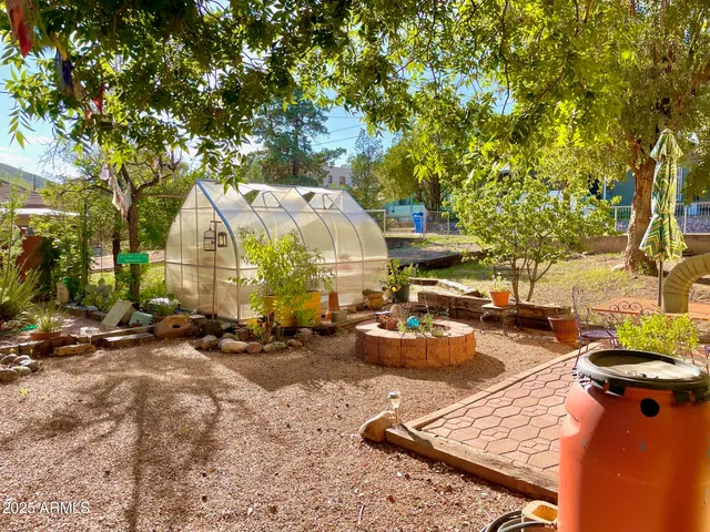 a view of a backyard with plants