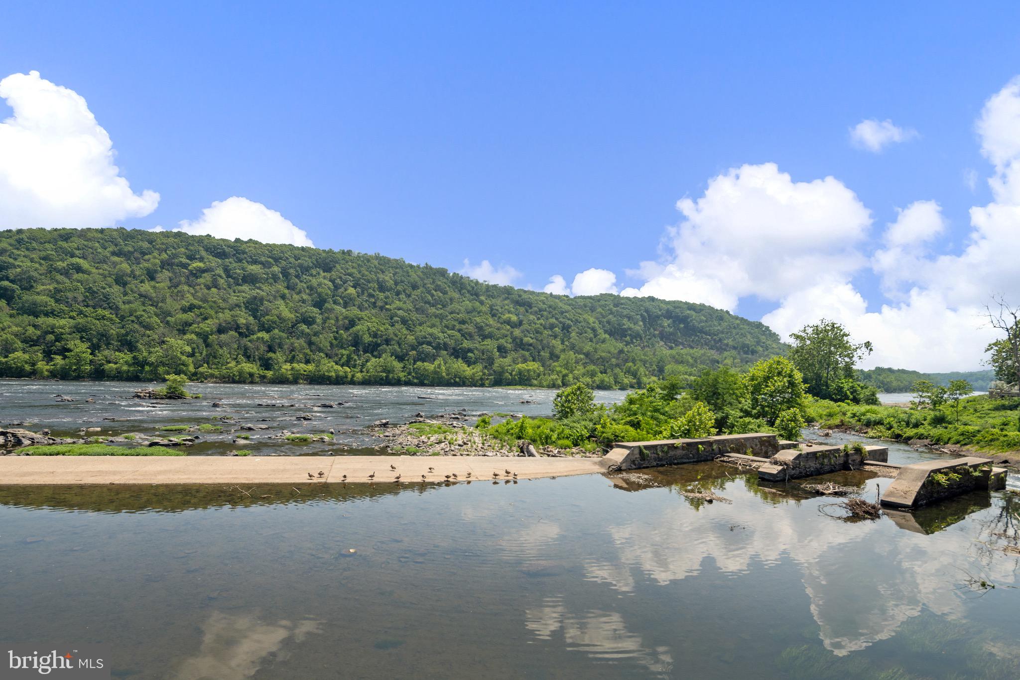 350 River Road, Unit G16 New Hope, PA 18938 - Photo 3 of 23 View of the Delaware from community patio