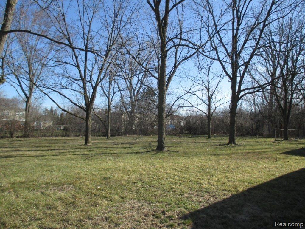 29470 Geraldine Road Farmington Hills, MI 48336 - Photo 3 of 14