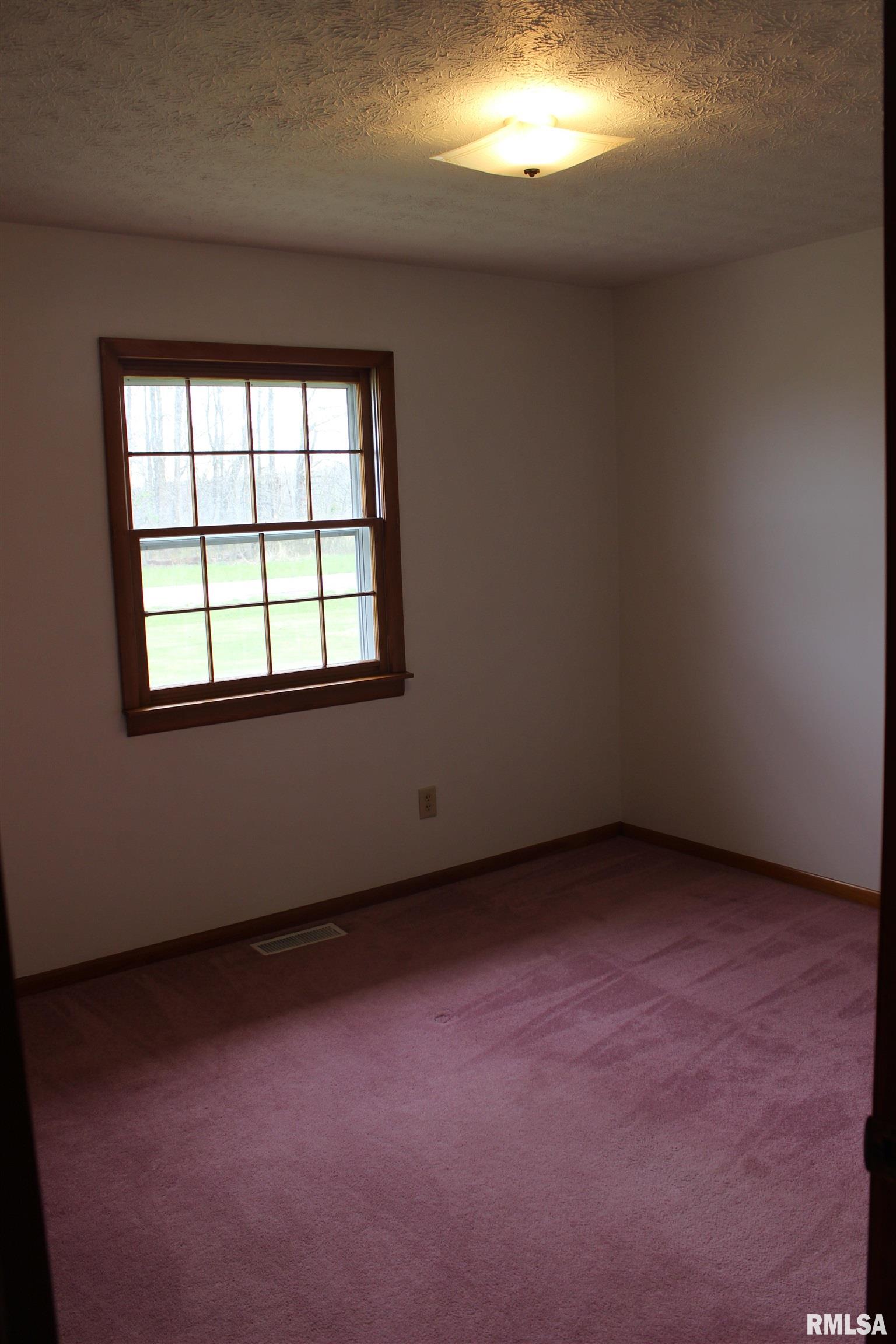 5403 Brubaker Road Alma, IL 62807 - Photo 13 of 25