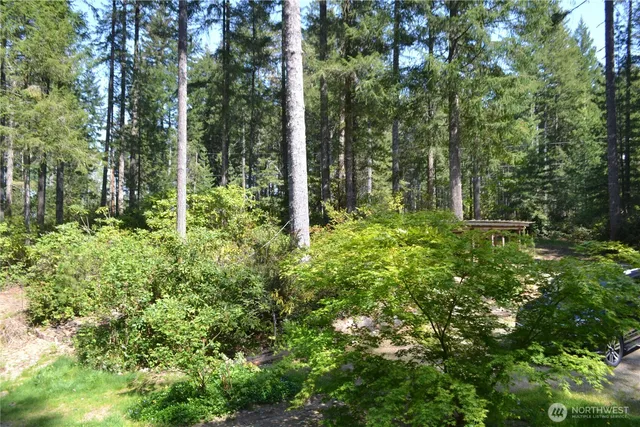 a plant view in yard