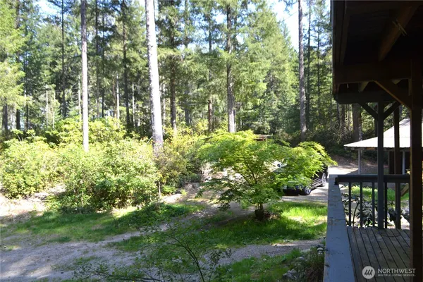 a view of a yard with plants and large trees