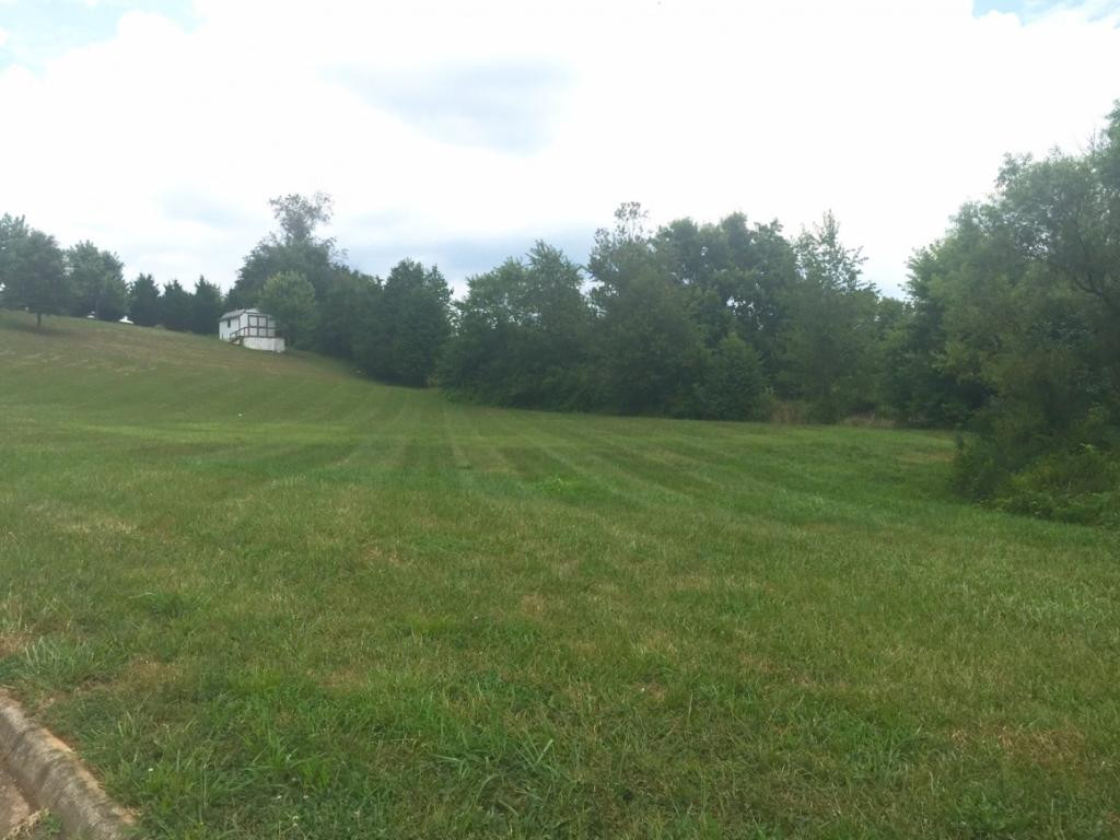 Lot 48 Ebenezer Loop Chuckey, TN 37641 - Photo 1 of 4 Large level lot