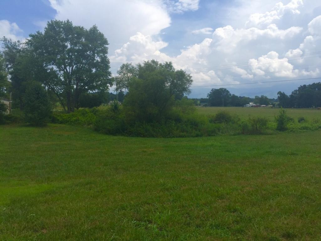 Lot 48 Ebenezer Loop Chuckey, TN 37641 - Photo 3 of 4 Mountain Views