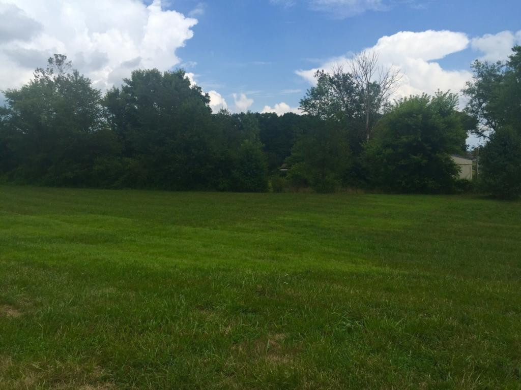 Lot 48 Ebenezer Loop Chuckey, TN 37641 - Photo 4 of 4 Photo 4