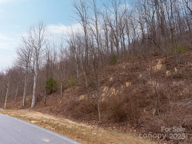 a view of backyard with wooden fence