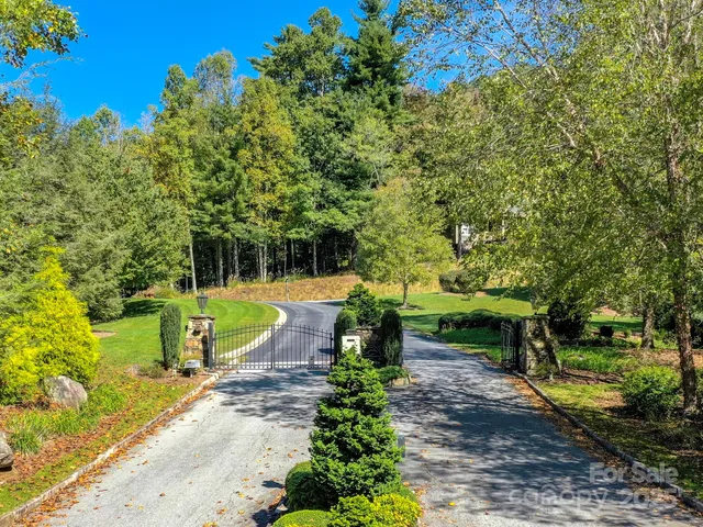 a view of a park with large trees