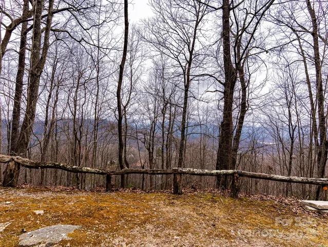 a view of backyard with large tree and wooden fence