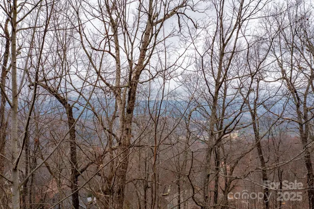 a backyard of a house with lots of trees