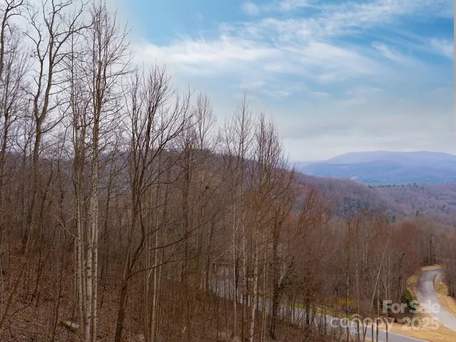 a backyard of a house with lots of trees