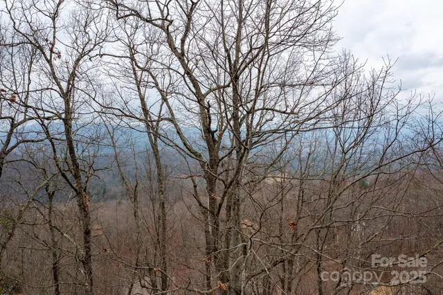 a view of a backyard of the house