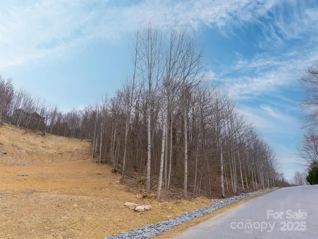a view of a backyard of the house