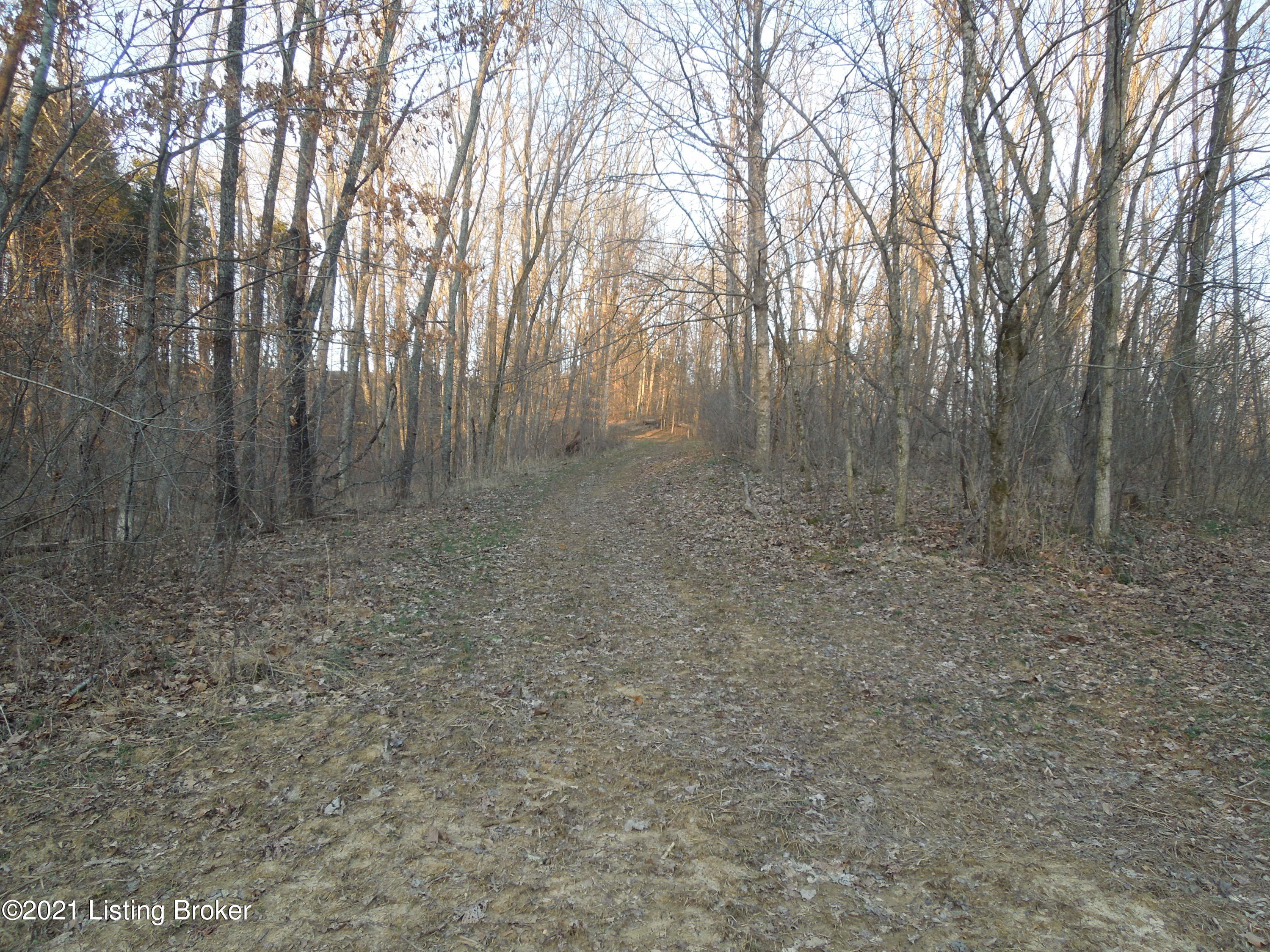 454 Pea Ridge Road Waddy, KY 40076 - Photo 40 of 48 DSCN3976