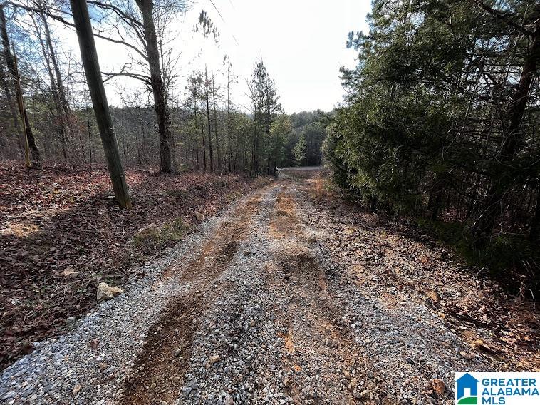 879 County Road 772 Montevallo, AL 35115 - Photo 5 of 8