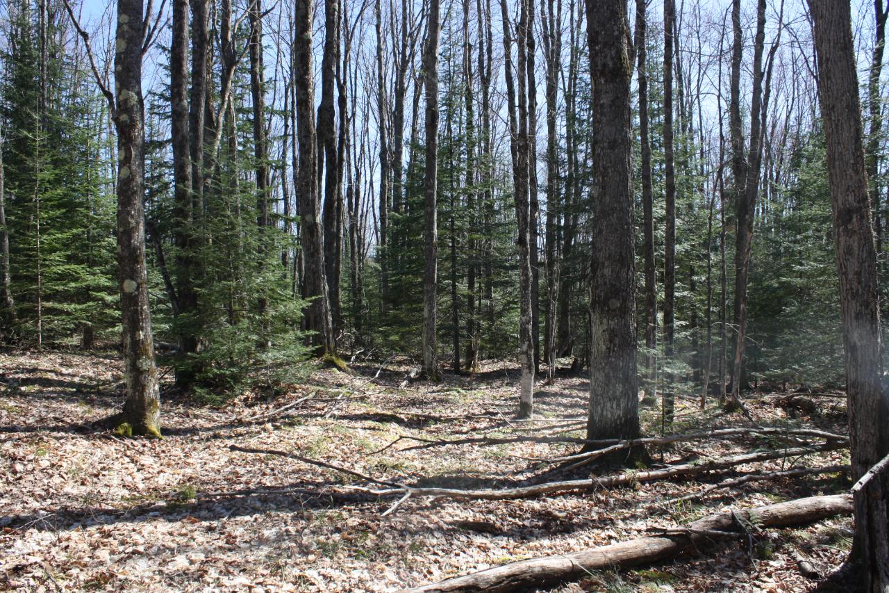 On Powderhorn Road, Unit 134635 Presque Isle, WI 54557 - Photo 4 of 11 Gallery Image 4