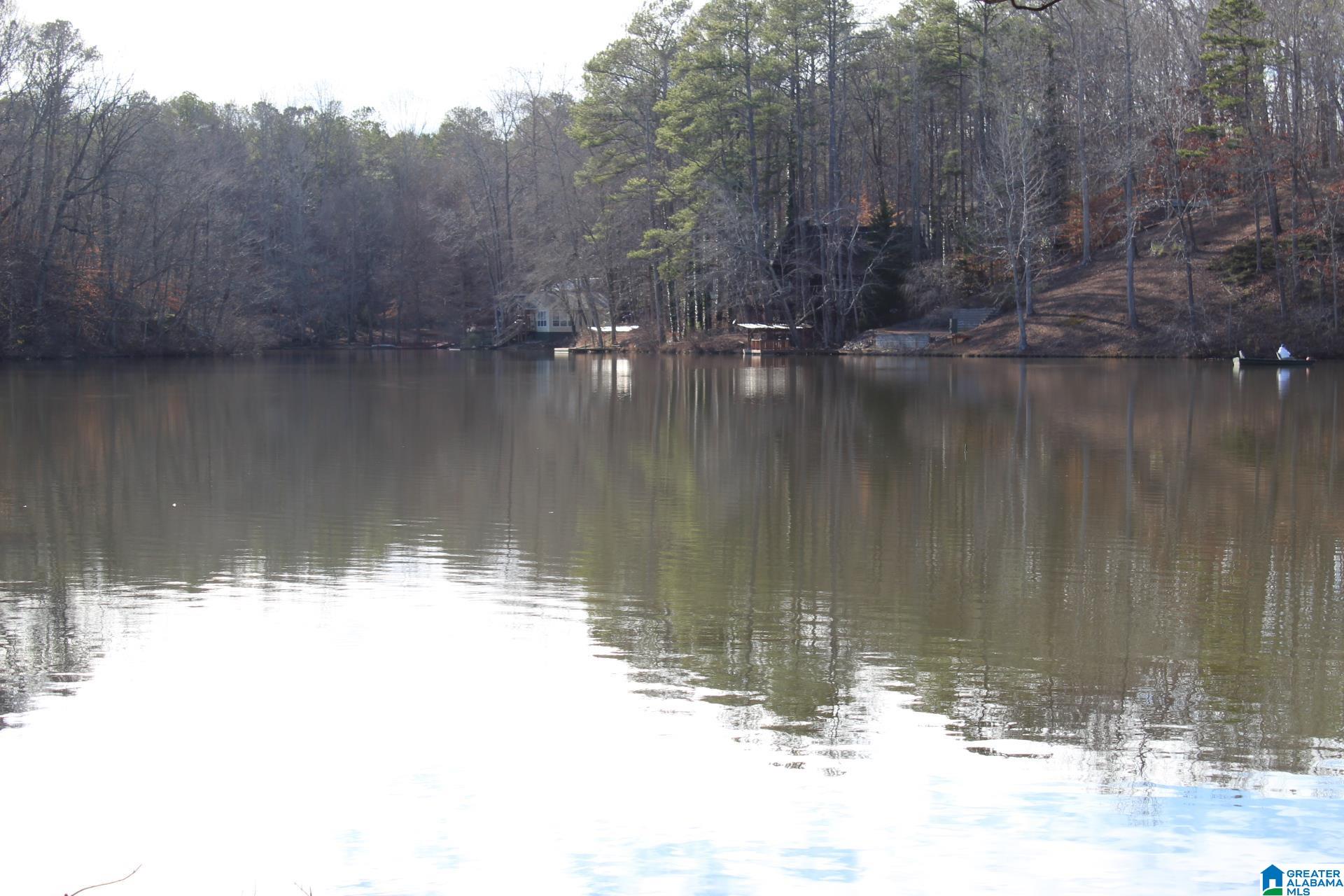 253 County Road 921 Delta, AL 36258 - Photo 34 of 36