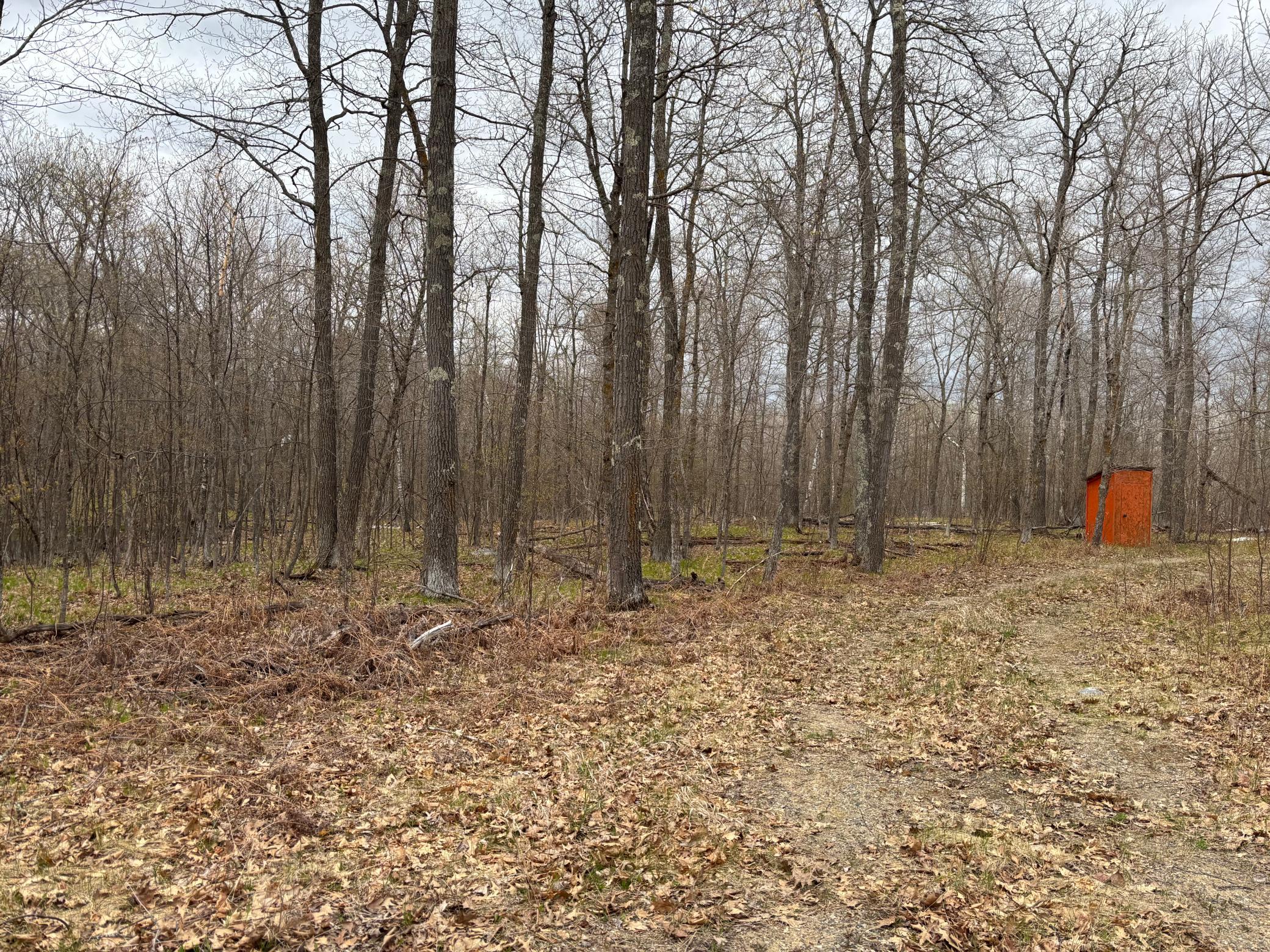 39987 Cass Line Road Laporte, MN 56461 - Photo 11 of 14