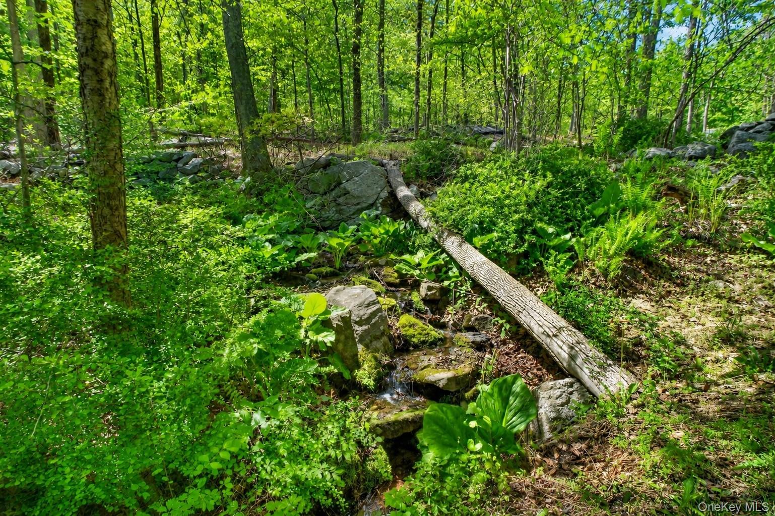 22 Hazel Hill Road Mahopac, NY 10541 - Photo 34 of 49