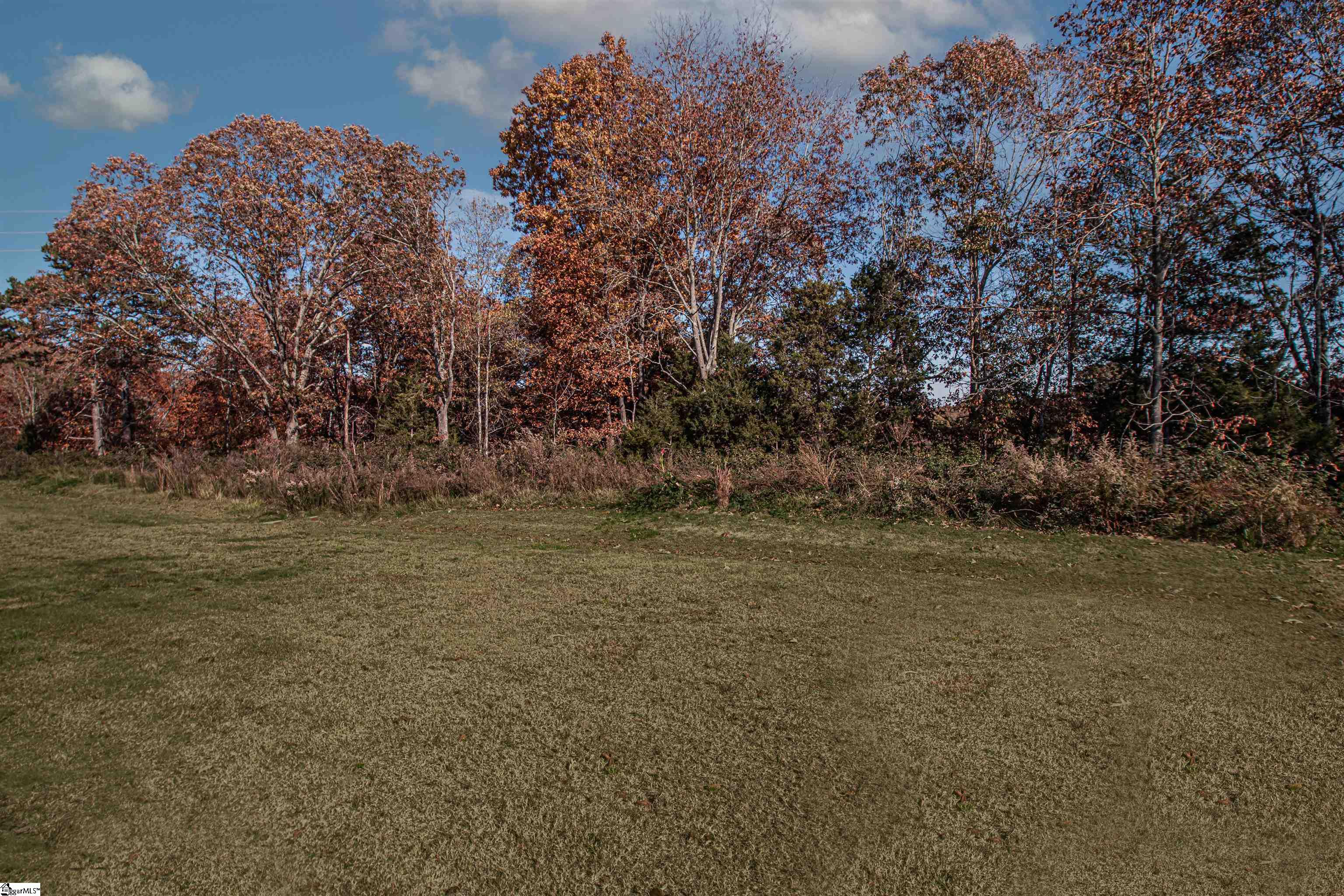 232 Hillendale Way Pelzer, SC 29669 - Photo 25 of 27