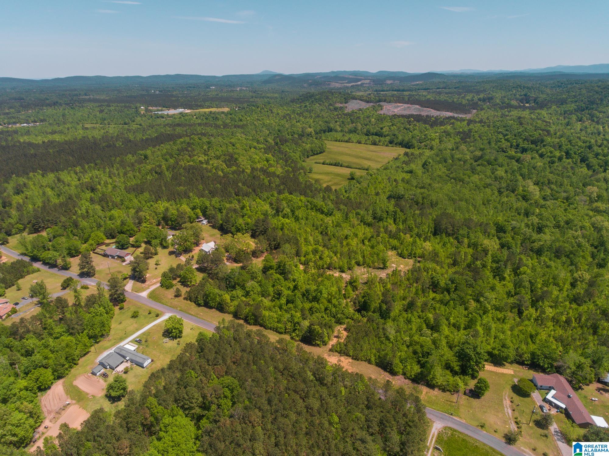 1326 Pine Ridge Road Wellington, AL 36279 - Photo 7 of 15