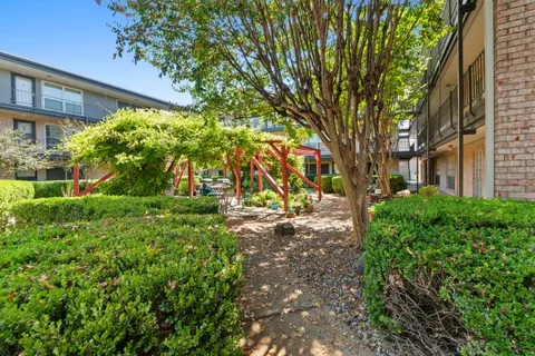 a view of a park that has large trees