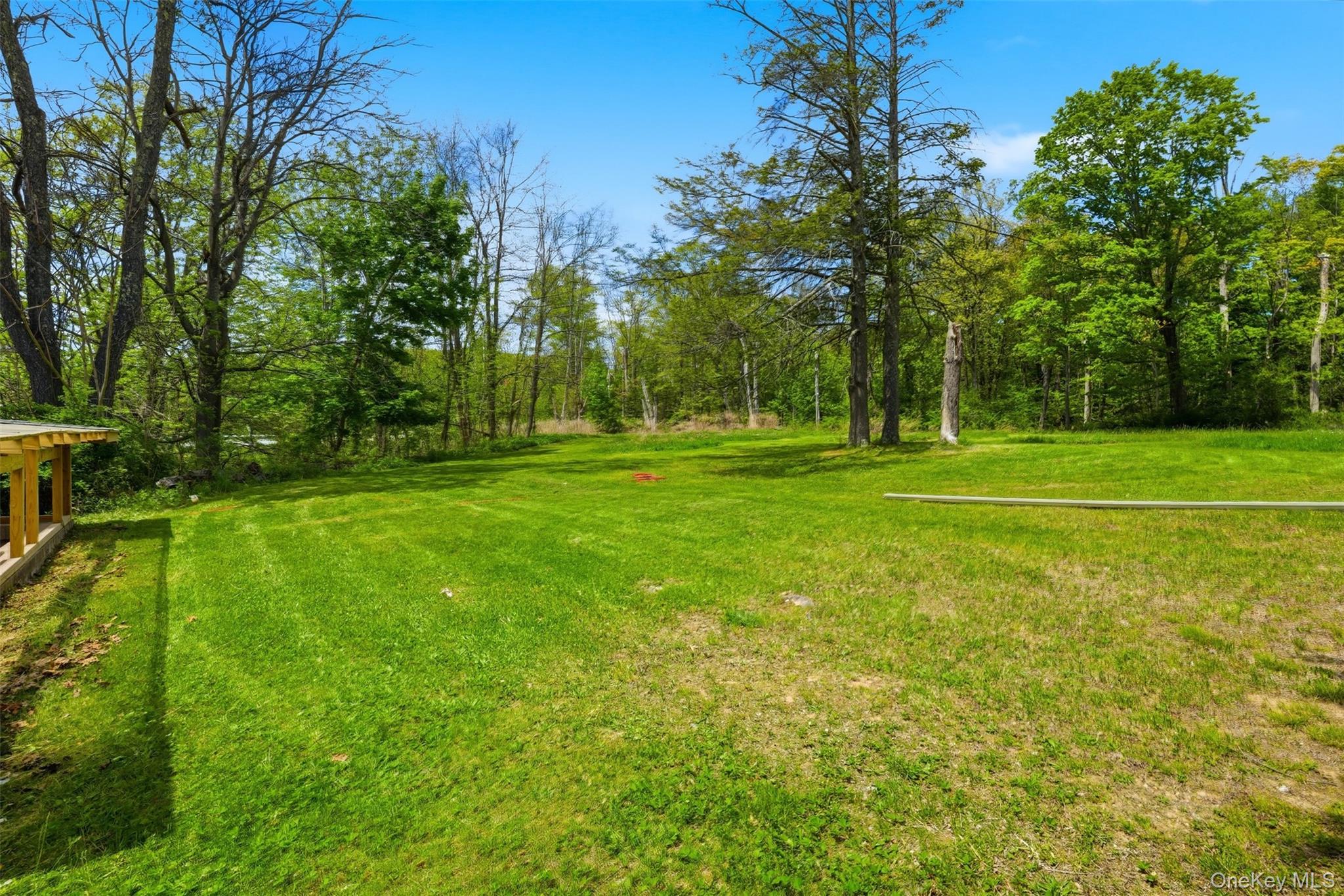 6 Short Road Wurtsboro, NY 12790 - Photo 44 of 48 a view of a big yard with a large tree