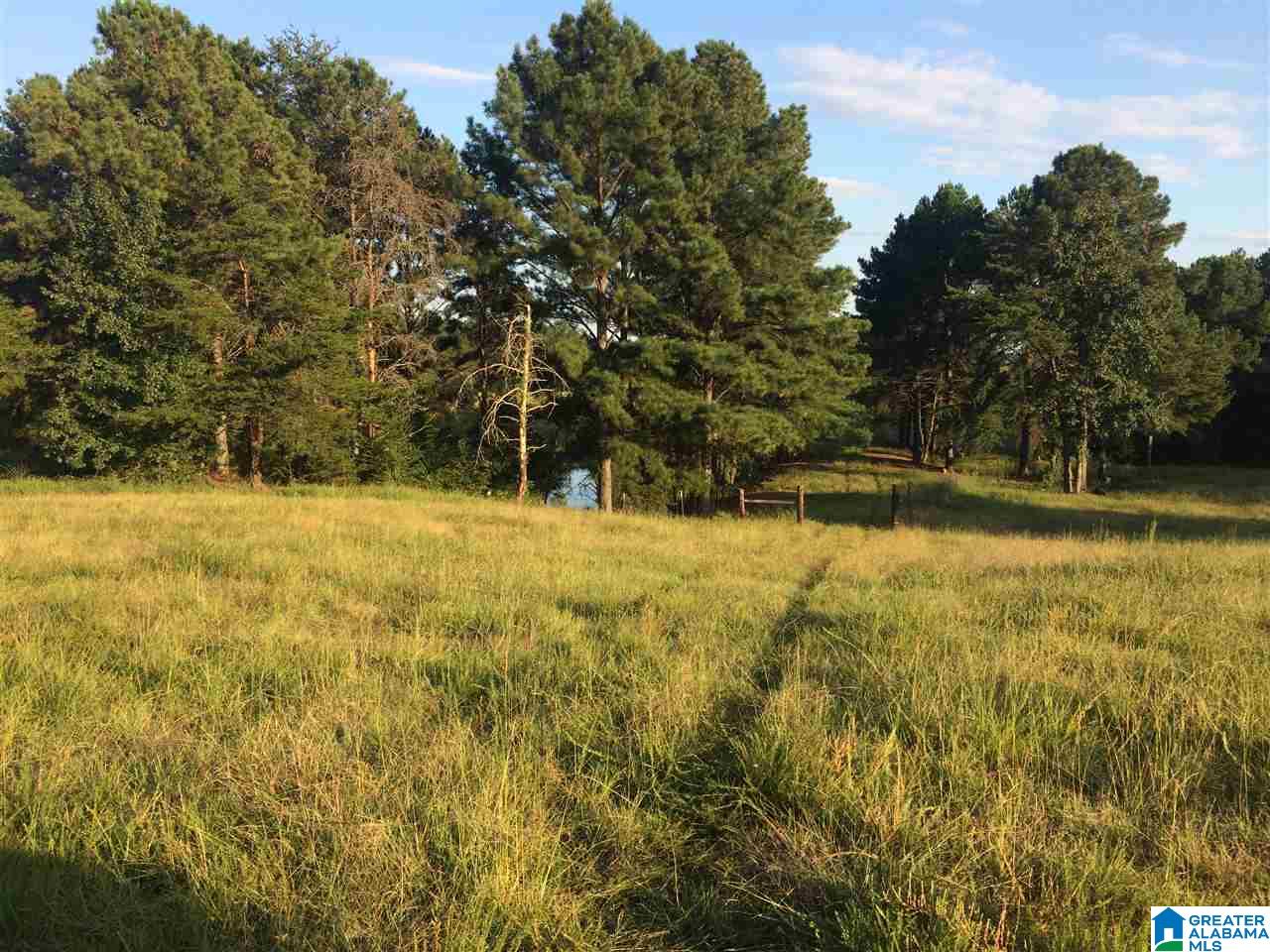 17999 Groundhog Road, Unit 40 Adger, AL 35006 - Photo 2 of 10
