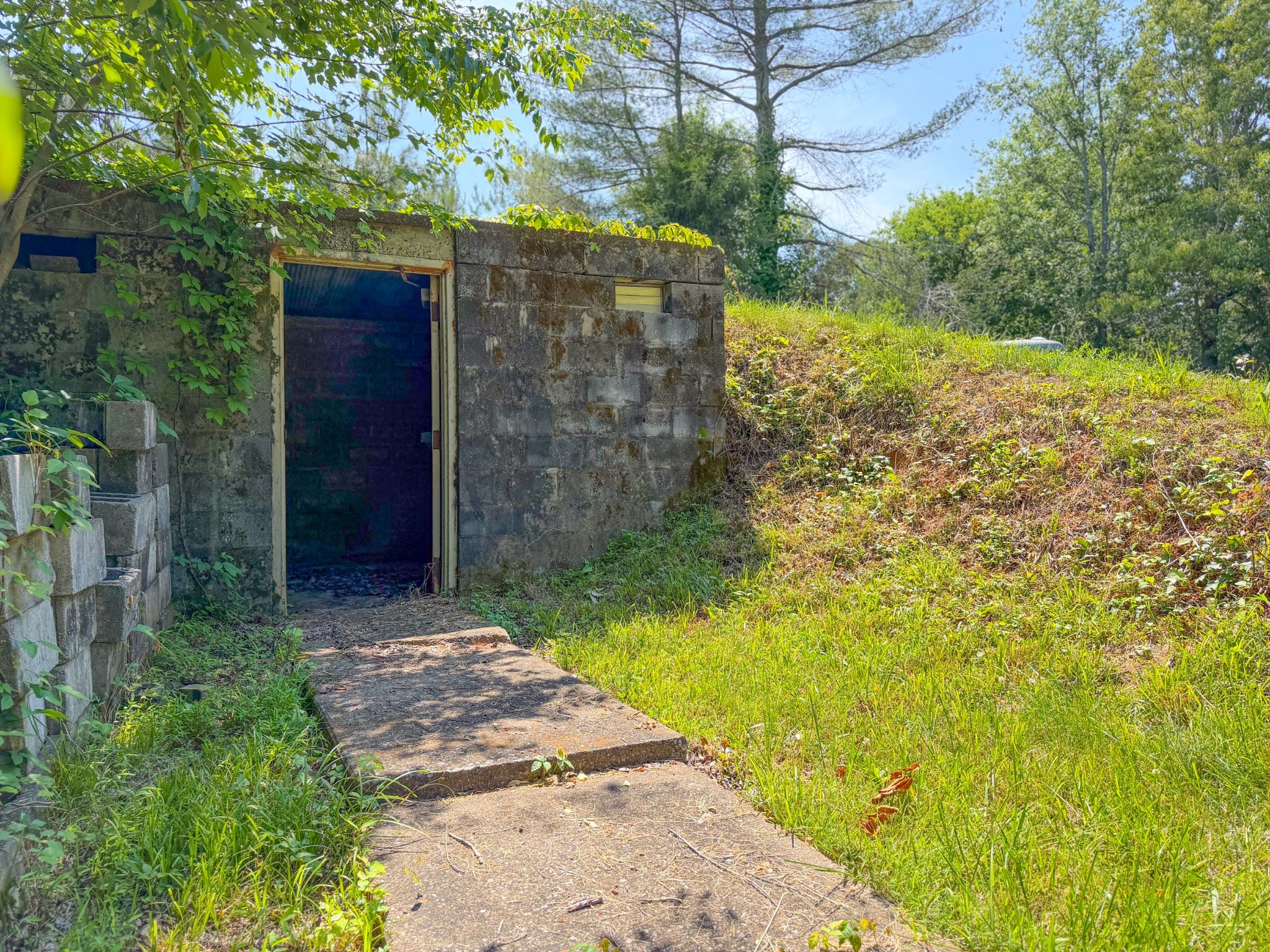 3800 Salem Road Minor Hill, TN 38473 - Photo 49 of 53