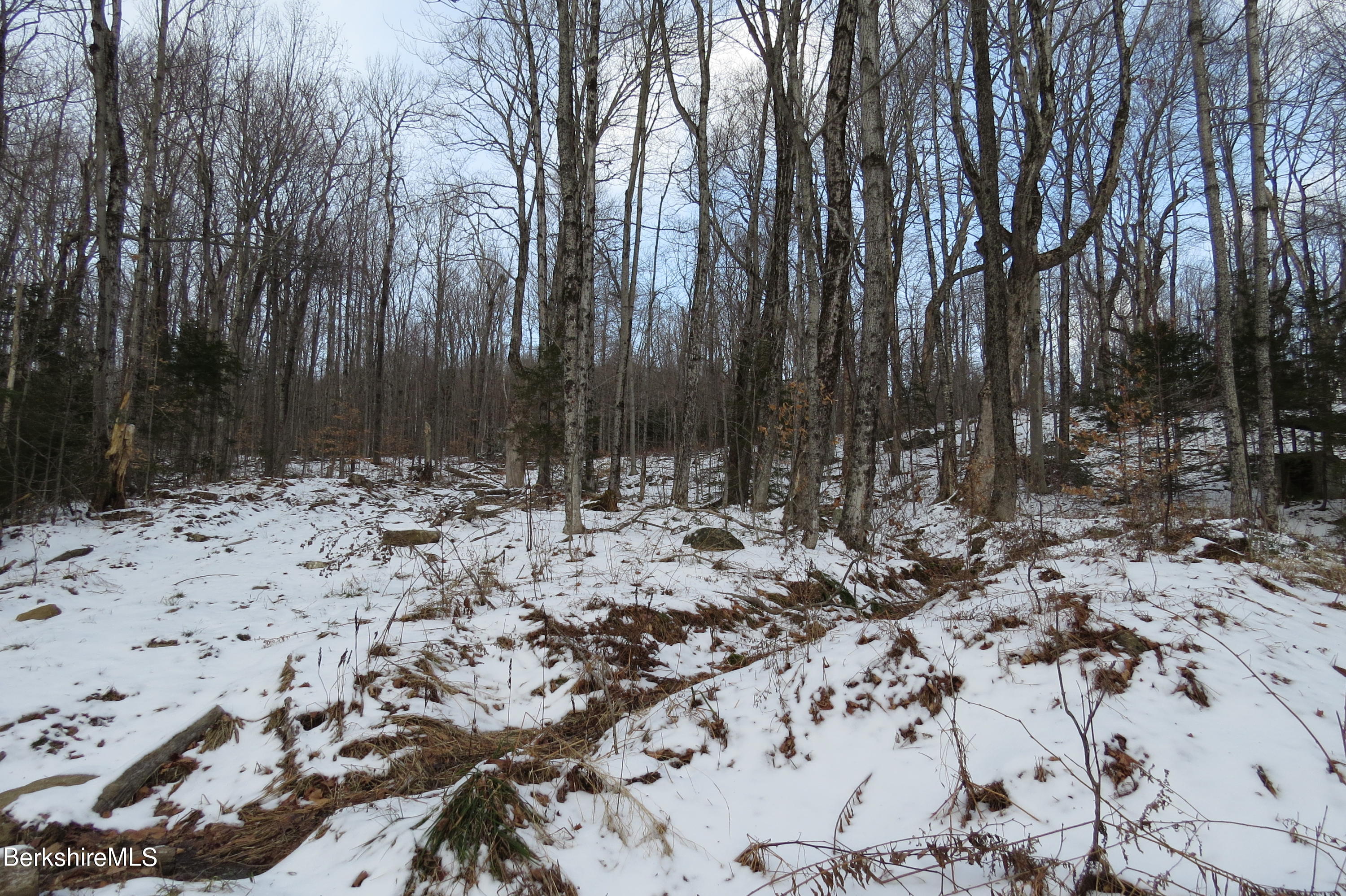 0 Bailey Hill Road Readsboro, VT 05350 - Photo 12 of 16 a view of outdoor space with lots of trees
