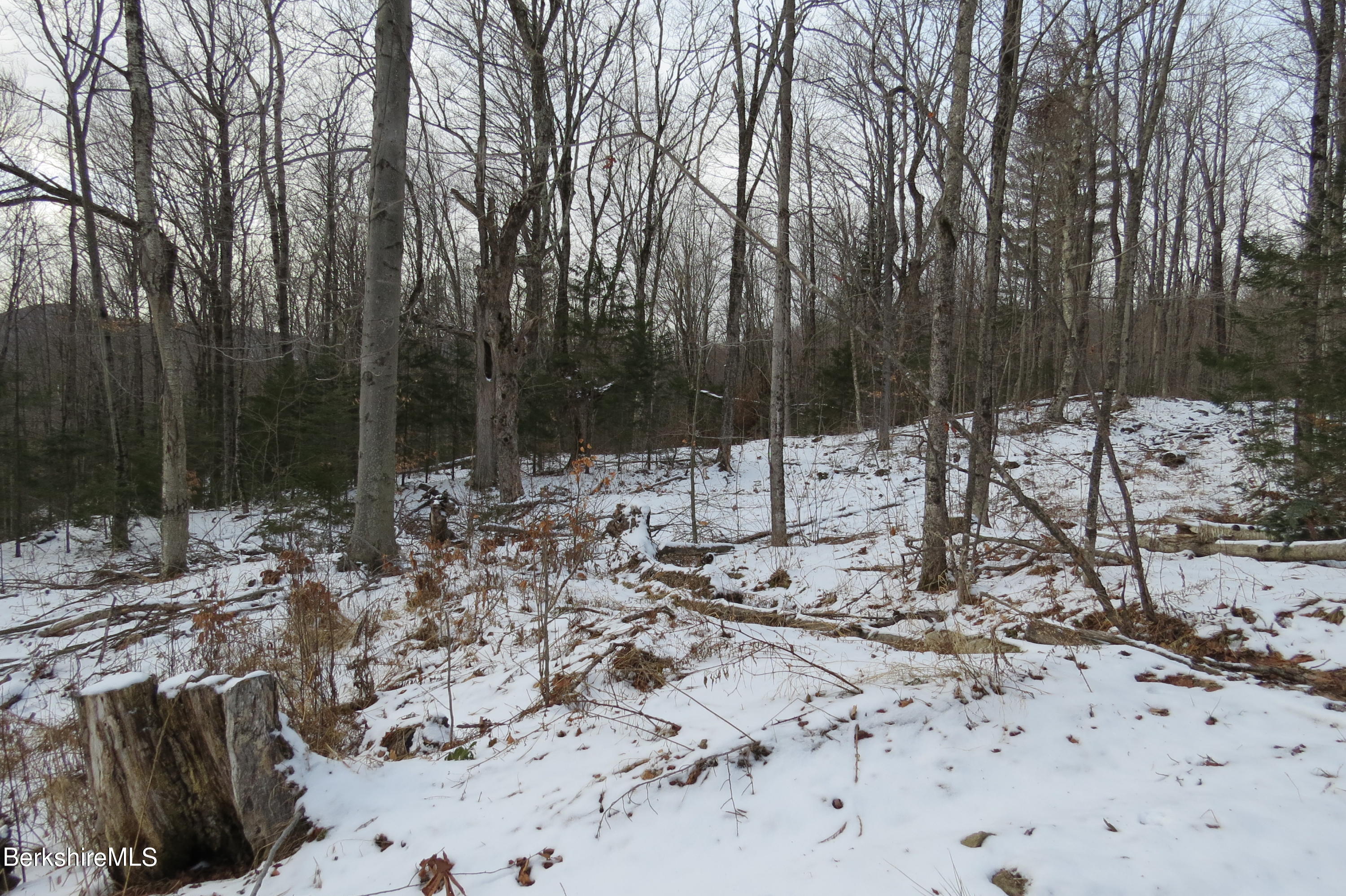 0 Bailey Hill Road Readsboro, VT 05350 - Photo 13 of 16 a view of outdoor space with lots of trees