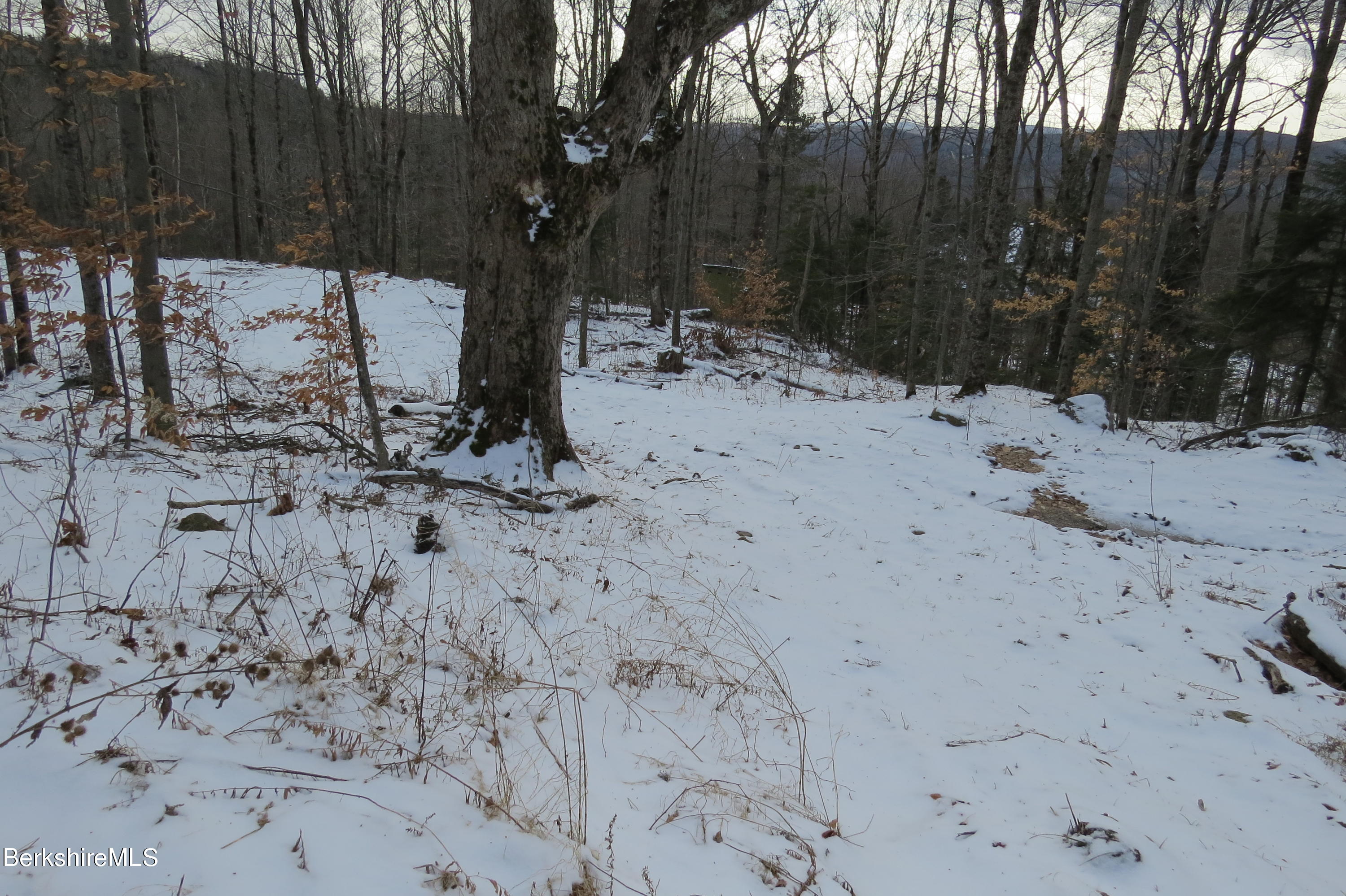 0 Bailey Hill Road Readsboro, VT 05350 - Photo 14 of 16 a view of a backyard of a house