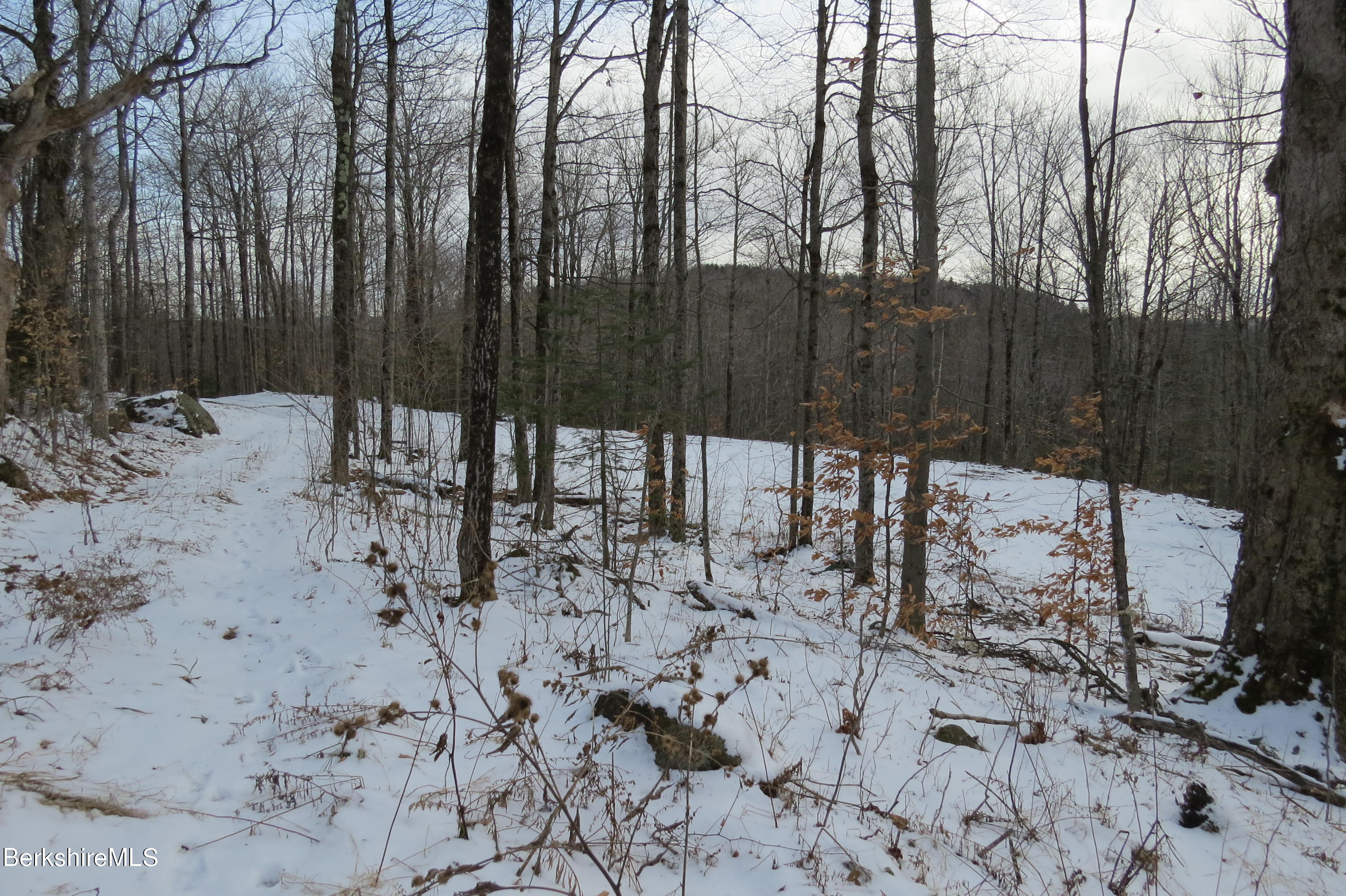 0 Bailey Hill Road Readsboro, VT 05350 - Photo 15 of 16 a view of a yard with trees