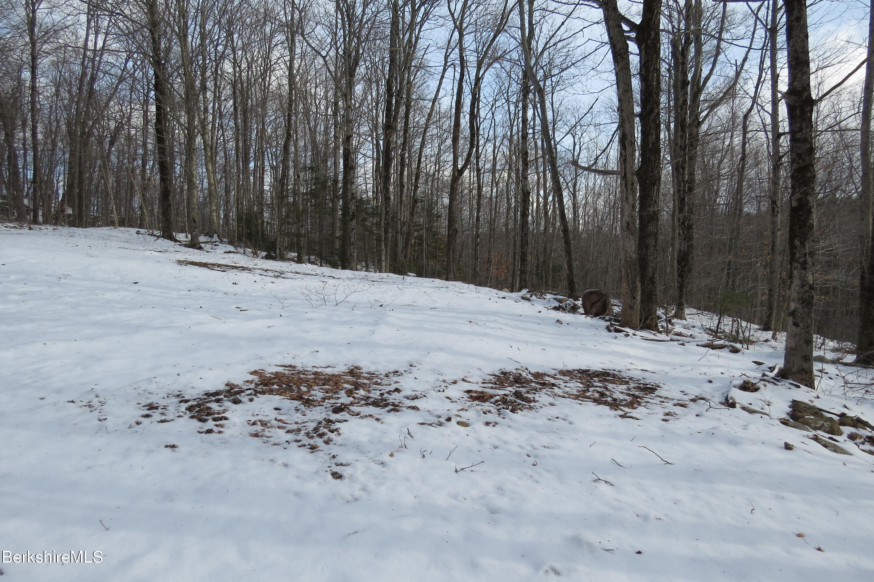 0 Bailey Hill Road Readsboro, VT 05350 - Photo 4 of 16 a view of a backyard of a house